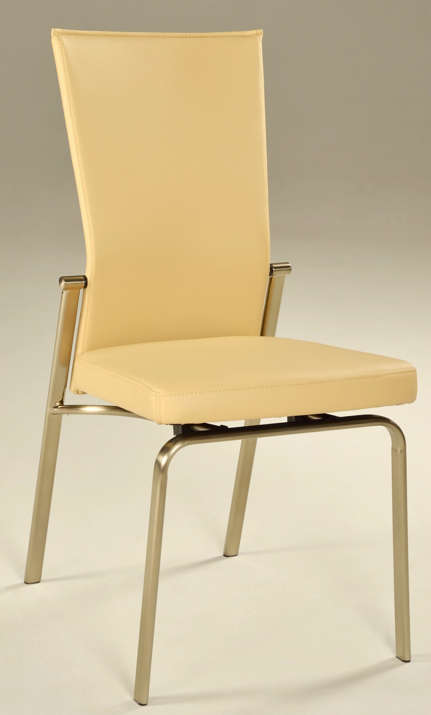 Modern Dinging Chair